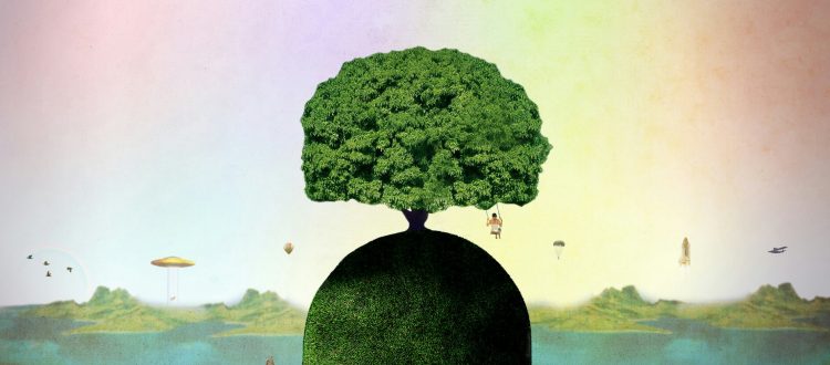 Will Ecosystems Survive the Ever Changing World?